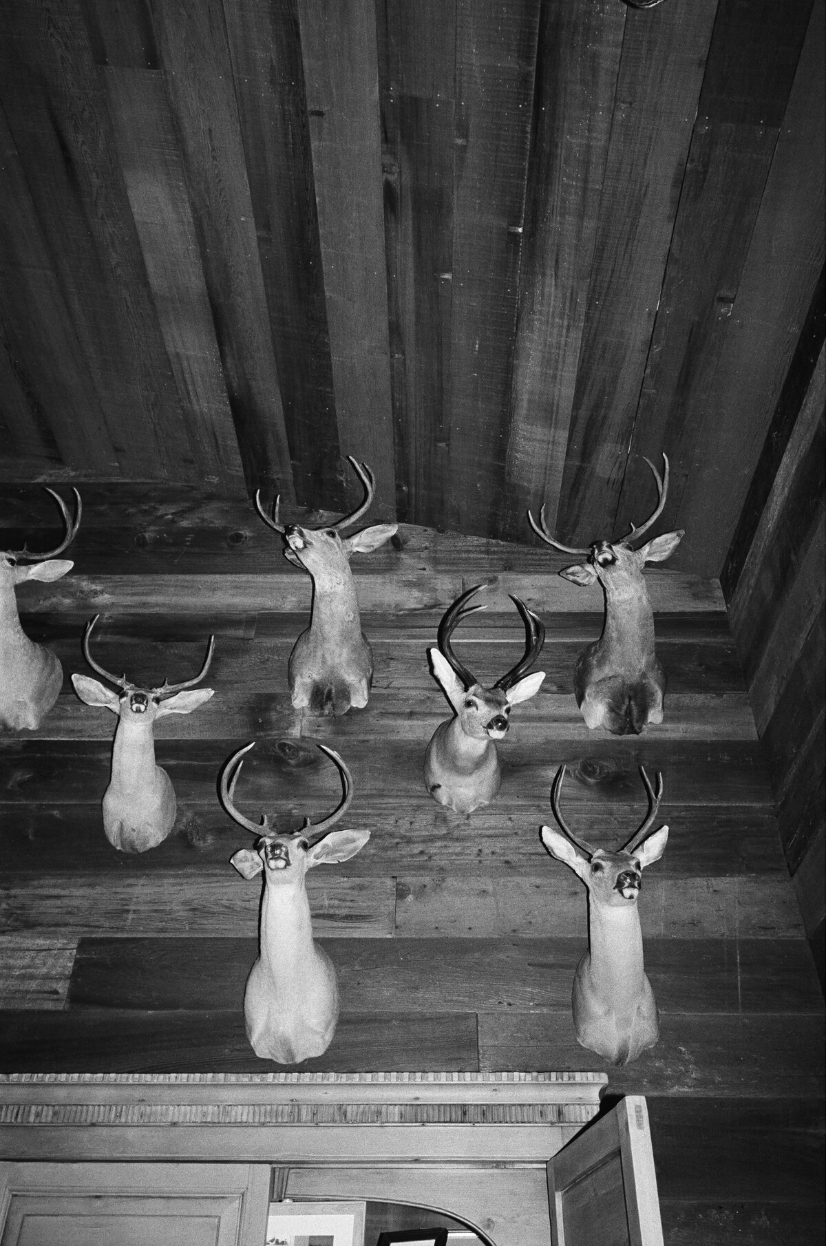 DT-2025-Celine & Gabe Highlights-240