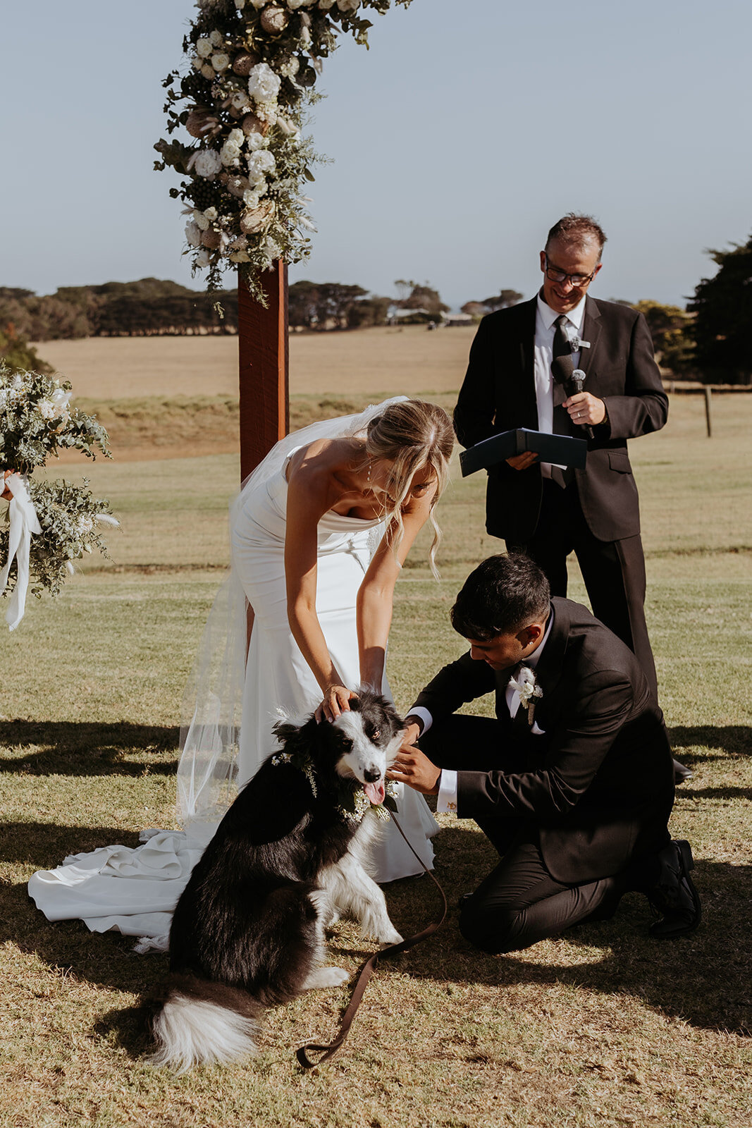 Sneak peek (100 of 195)