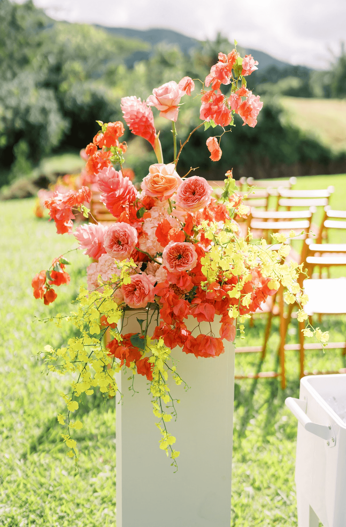 Screenshot 2025-11-25 at 8.44.46 AM