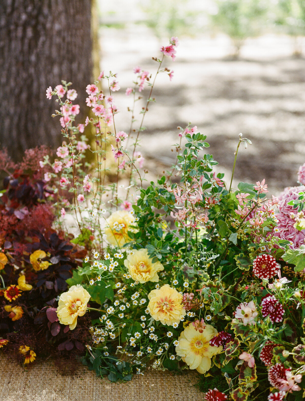 napa-documentary-best-photographer-wedding-dejauregui-photography-159