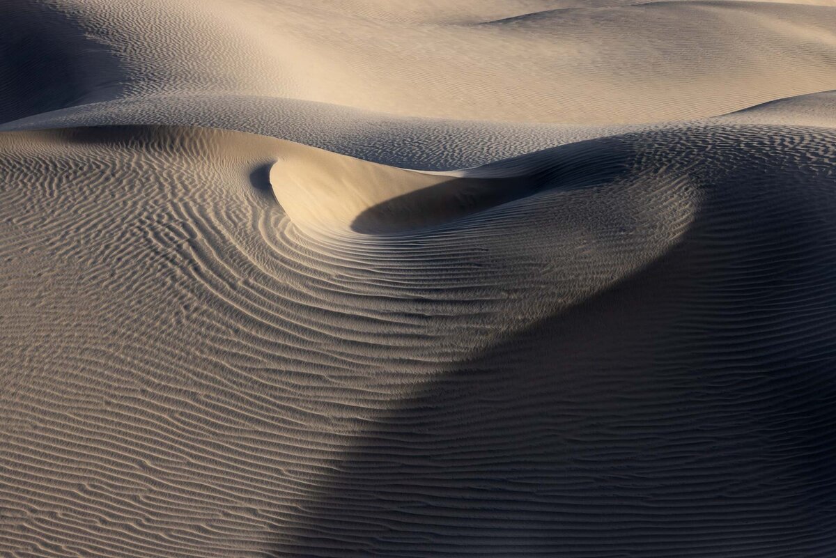 000000-87-landscape_Flynn_N-mesquite-dunes-4021-006_HM_HM