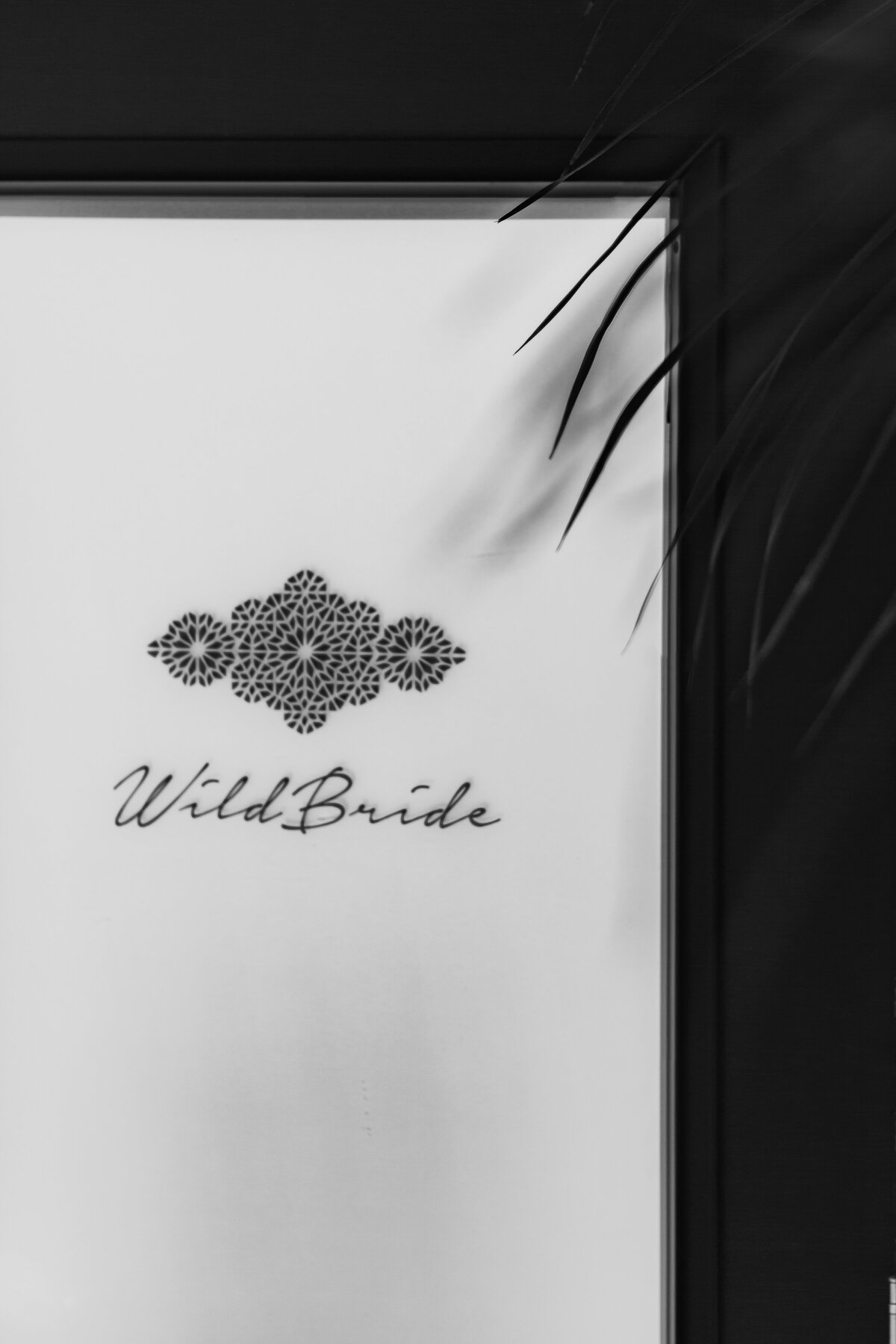 Wild Bride by K. Sauer-44