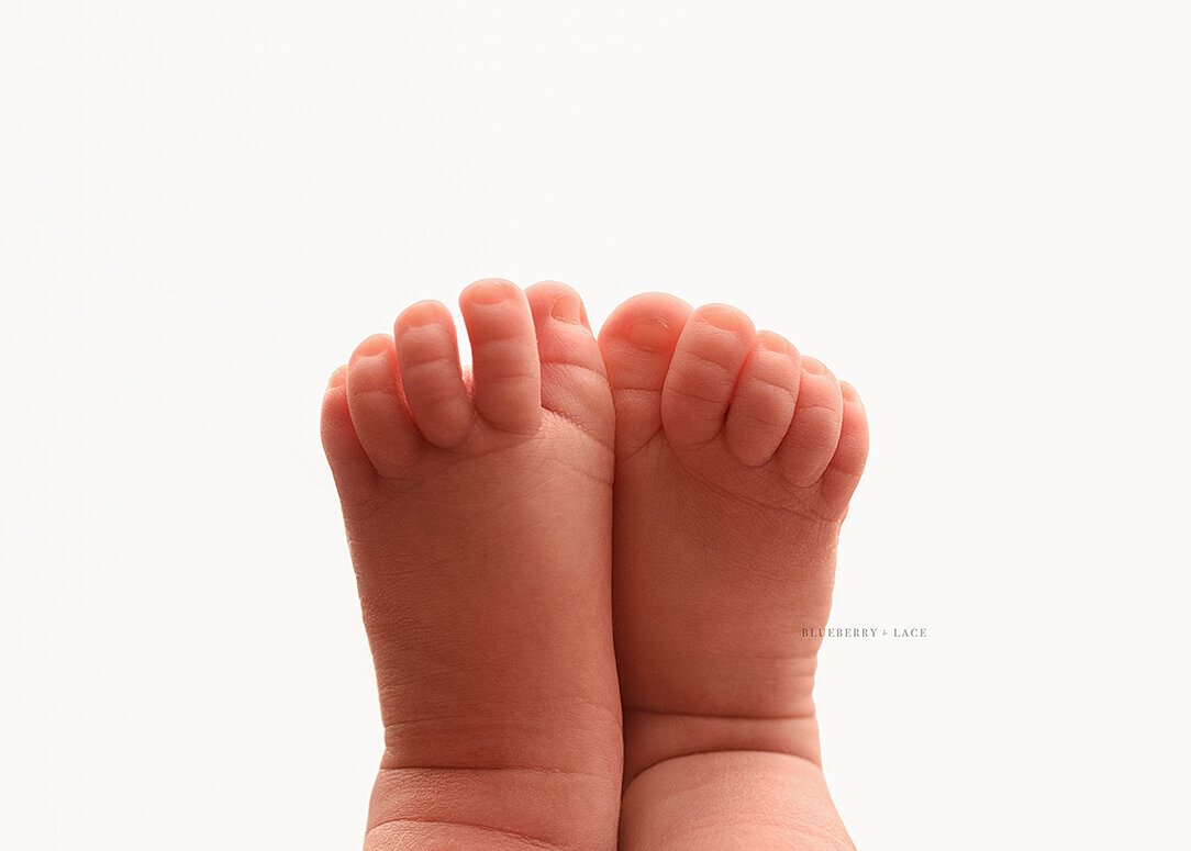 the absolute best details of your newborn baby at our Oswego ny photo studio