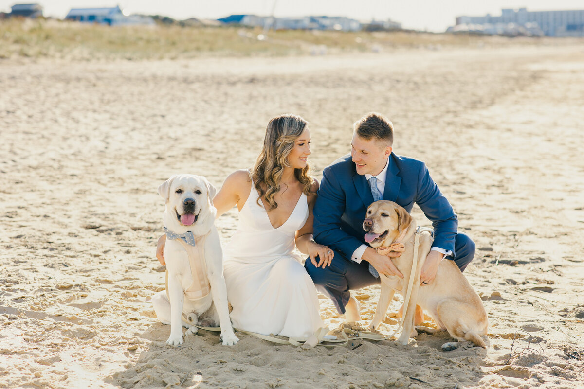 Kelsey & Dan_Wedding_Bride & Groom with Dogs-1037
