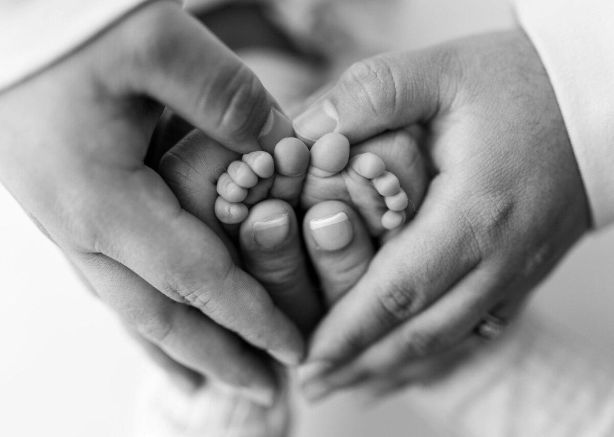 Close-up of baby feet held in parent's hands - black and white detail newborn shot