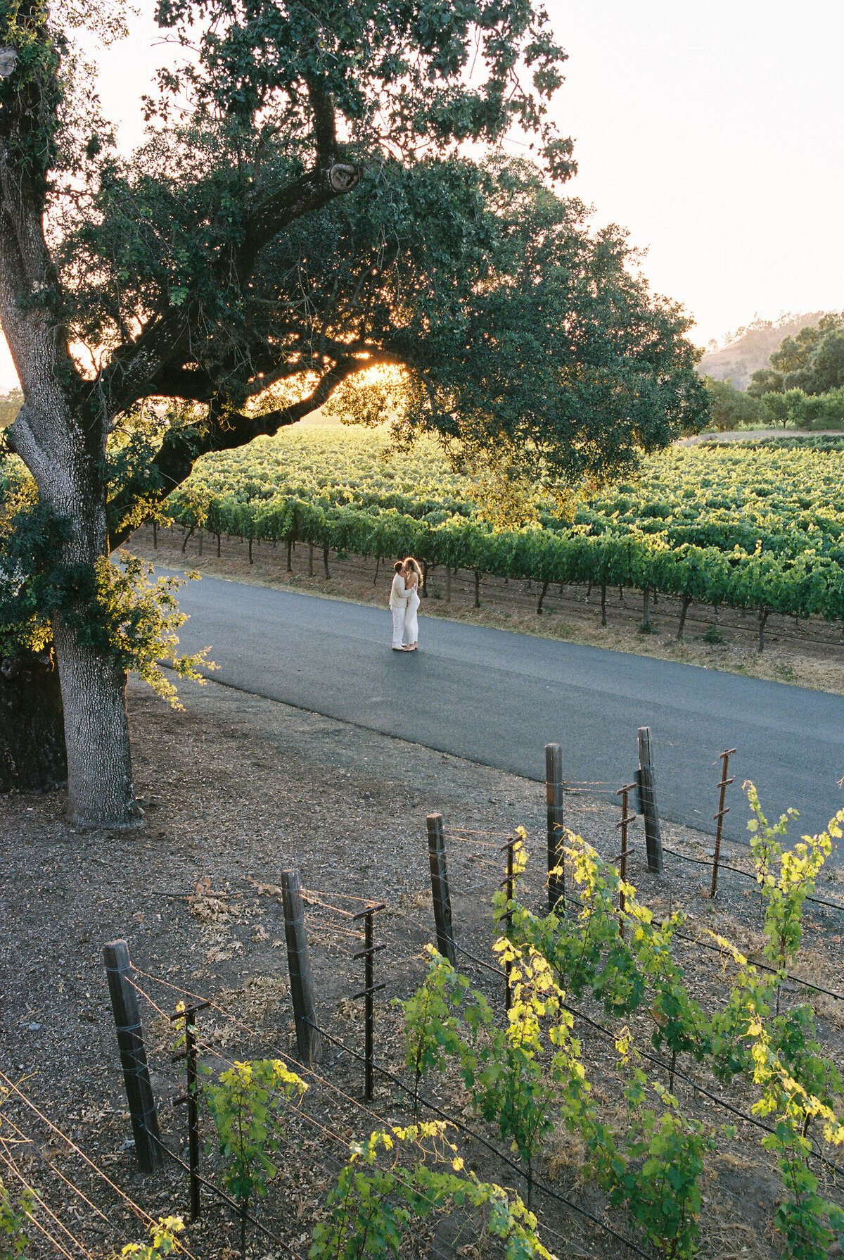Four_Seasons_Napa_Valley_Engagement_Olivia_Chris_Swidrak&Co.-125