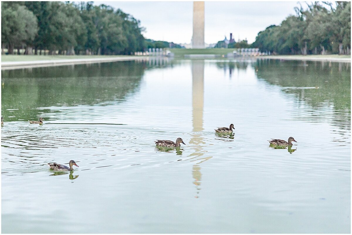 washington-monument-engagement-session_0028