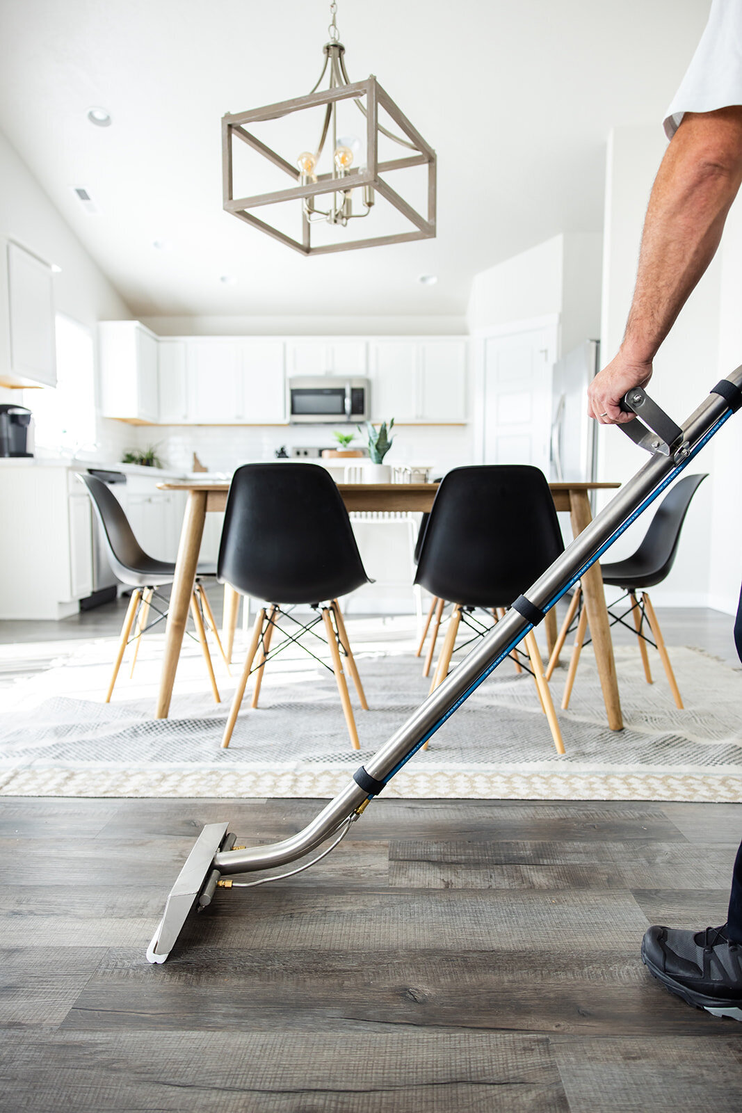 CarpetDetective-170_websize
