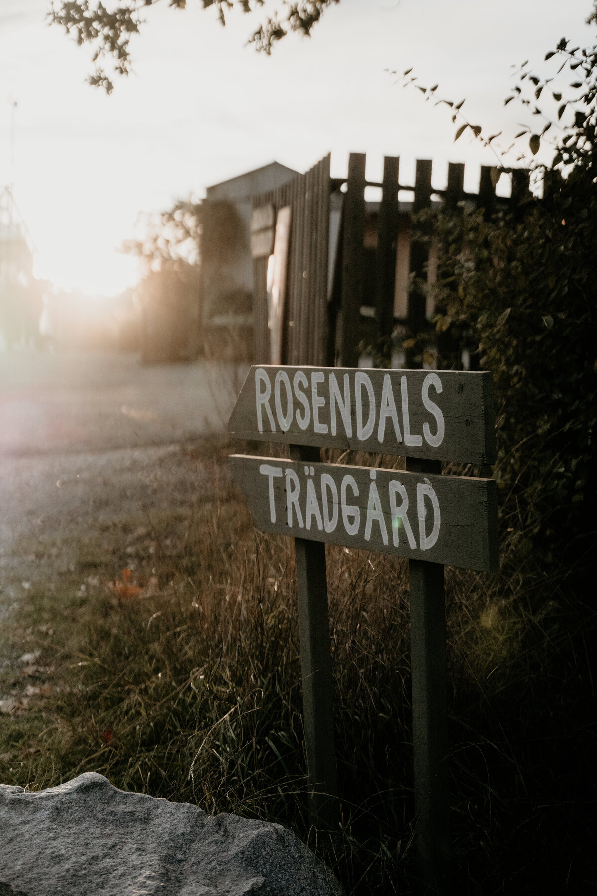 ElinJoakim-12okt2024-549