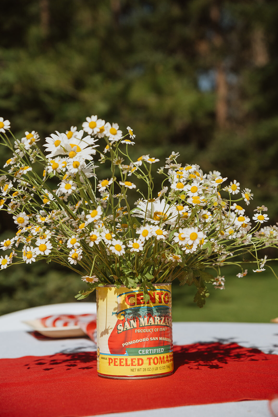 IsolaHenryCaffee_DavidAnnWeddings-4204