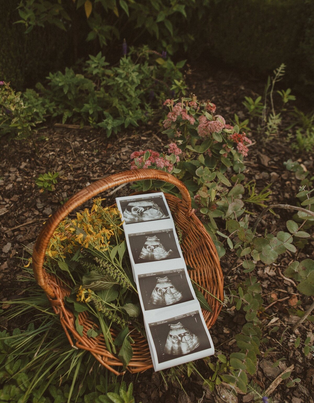 382240605_817479557047708_7281377087865103074_n