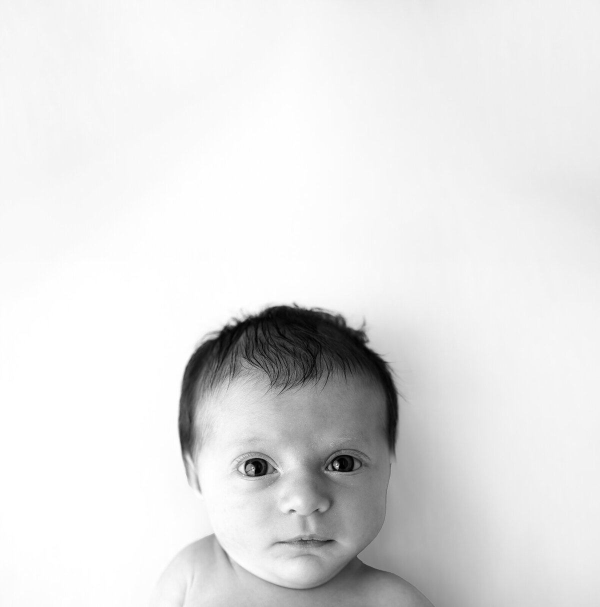 newborn face black and white headshot by st. louis newborn photographer