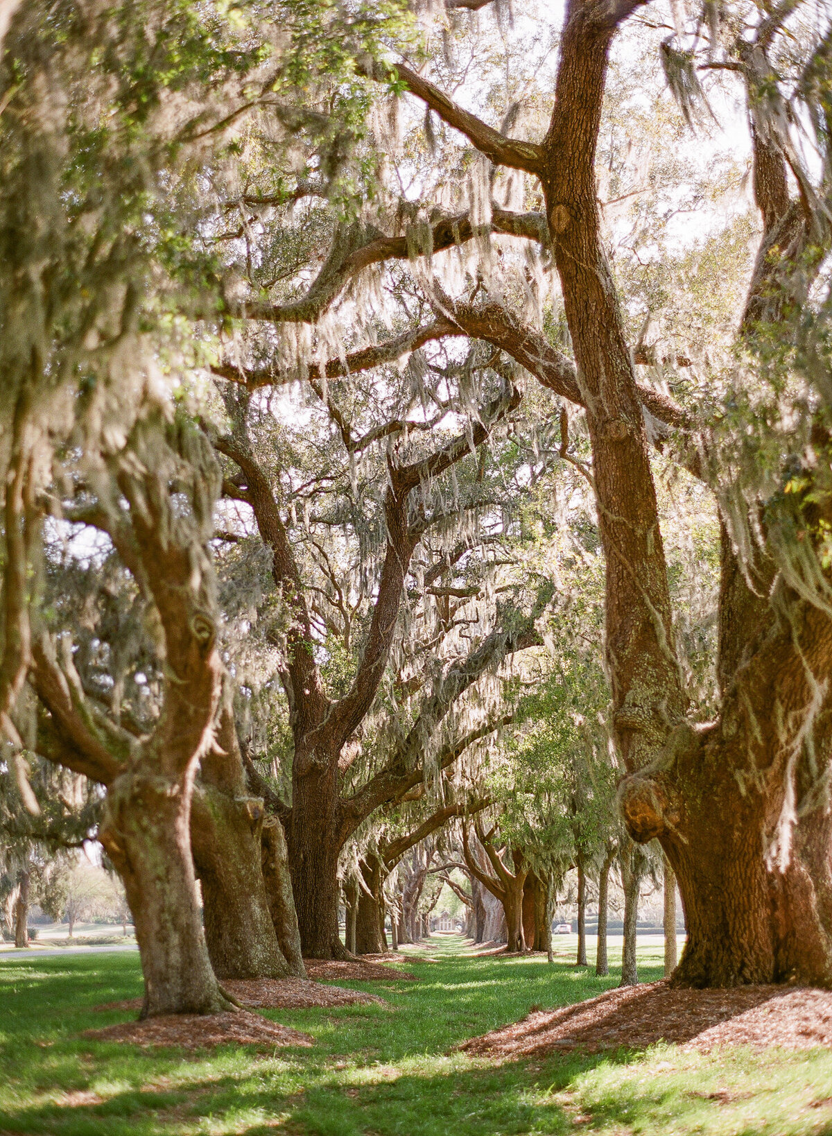 TravelWeddingPhotographer-Sea-Island-Georgia-236
