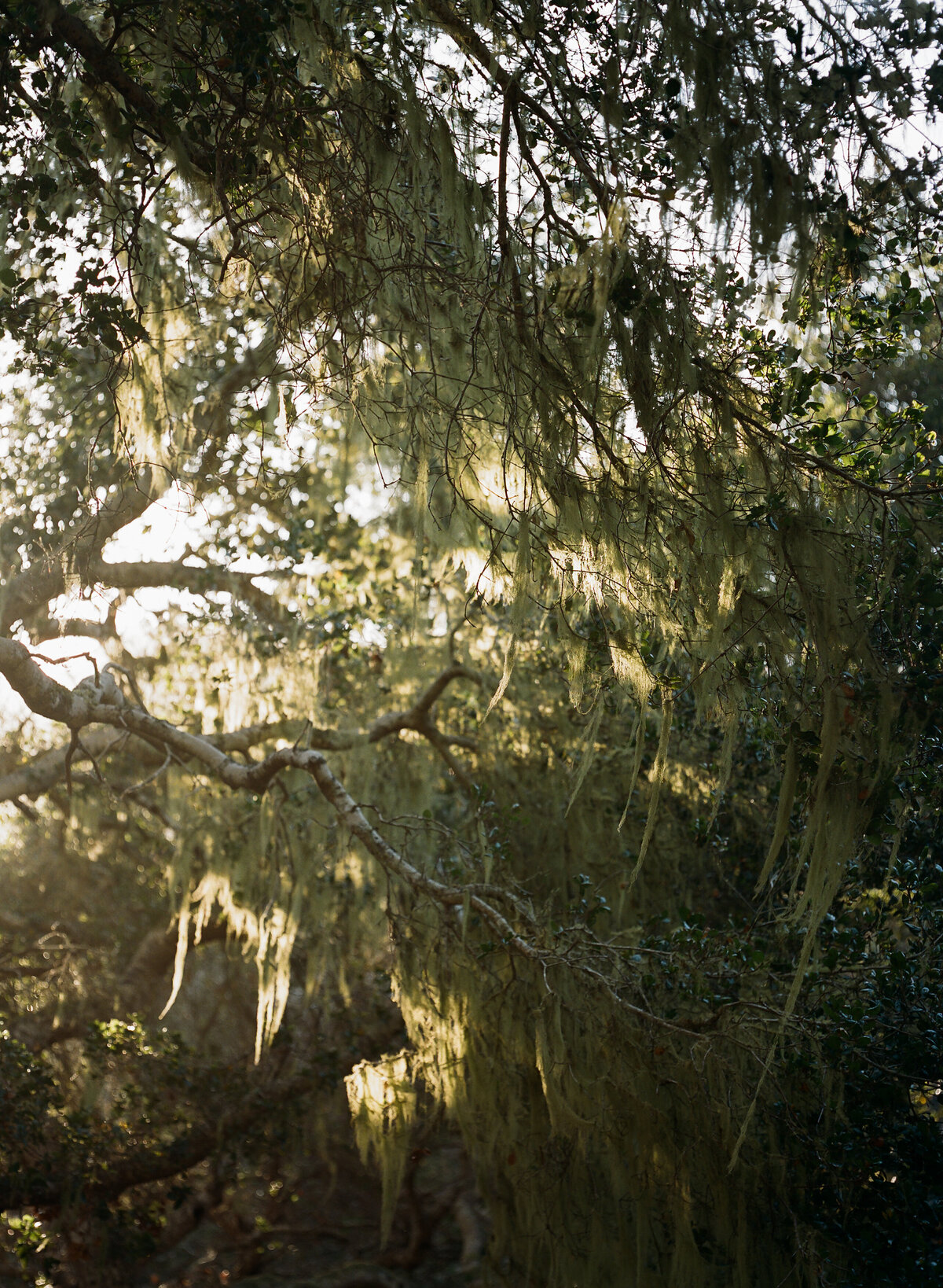 DT-2025-Kelcie&StevenPreview-41