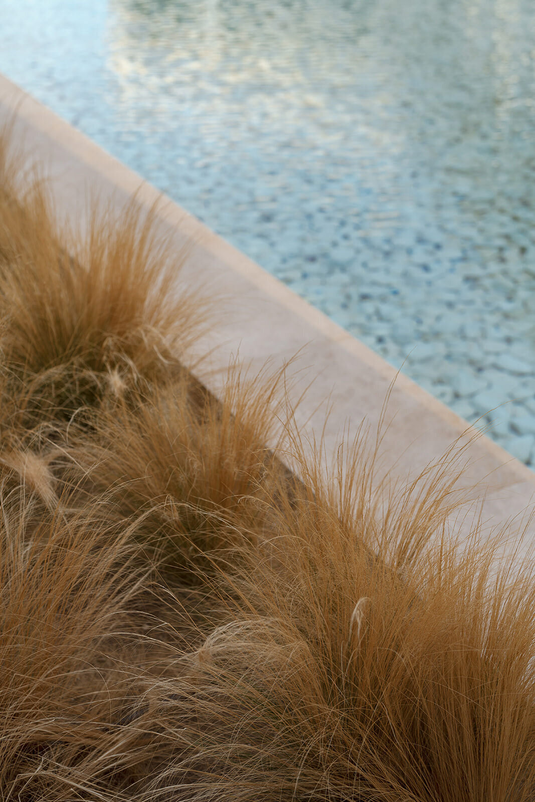 theresakelly-amanzoe-engagement-14