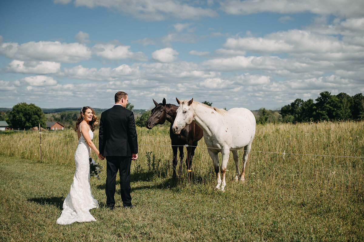 Bride and groom holding hands in field with horses, captured by Kristin Sarah Photography. Featured on the Bronte Bride Vendor Guide.