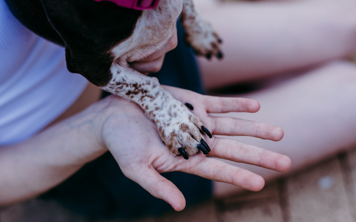 documentary photography in Indiana
