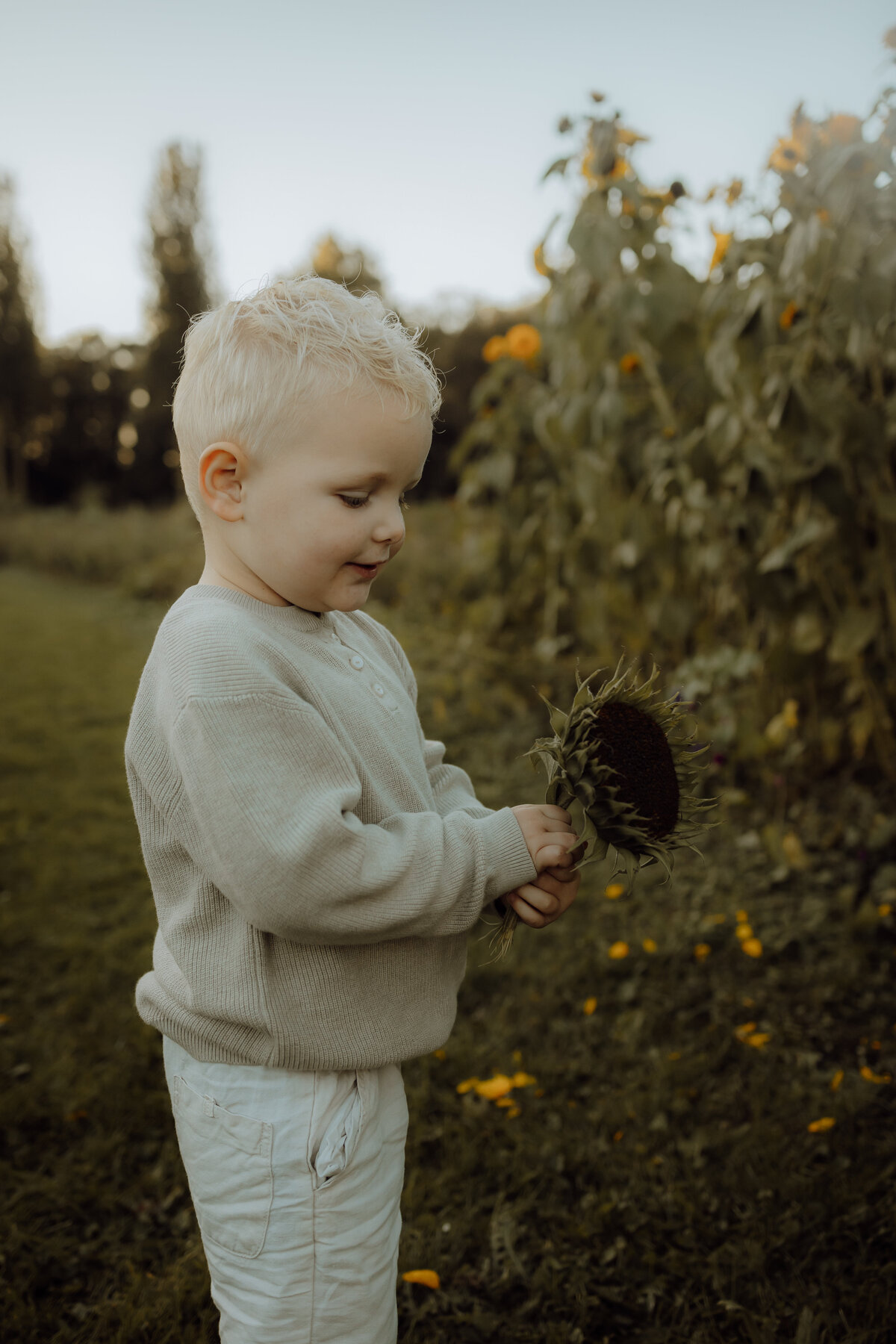FamilyshootZonnebloemen (66 van 100)