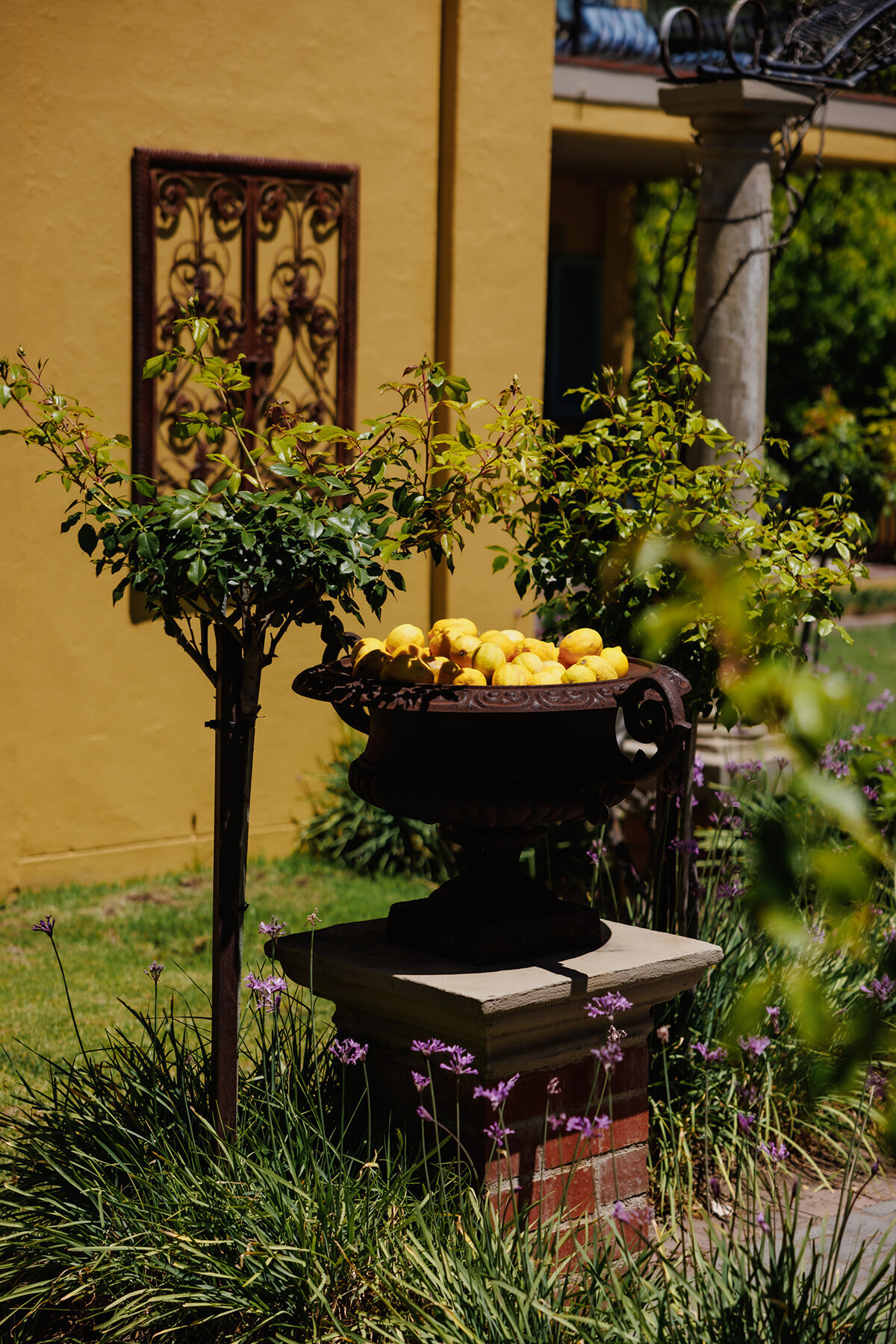 Michelle Norwood Living - Luxury Travel Inspiration - South Africa - MCT-230