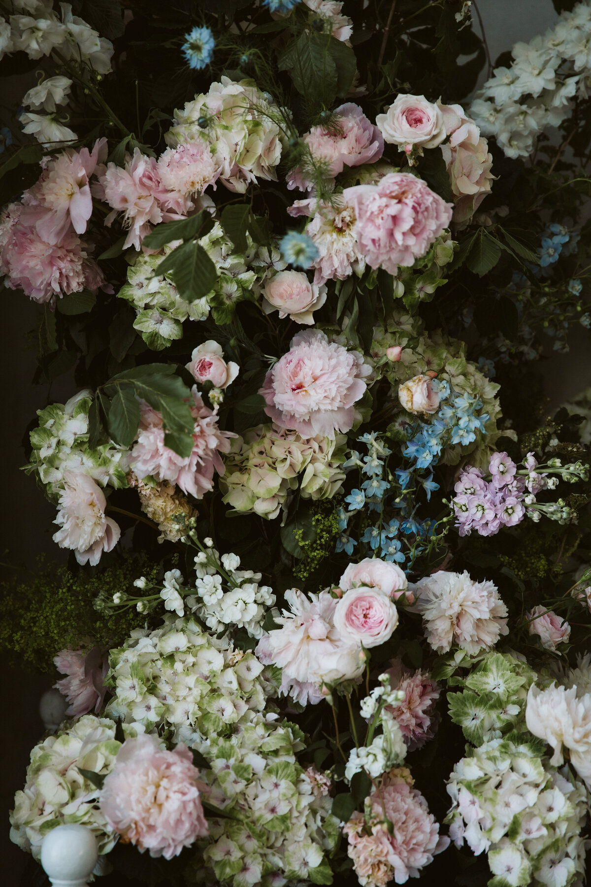 The Tattie Rose Flowers Gallery_21