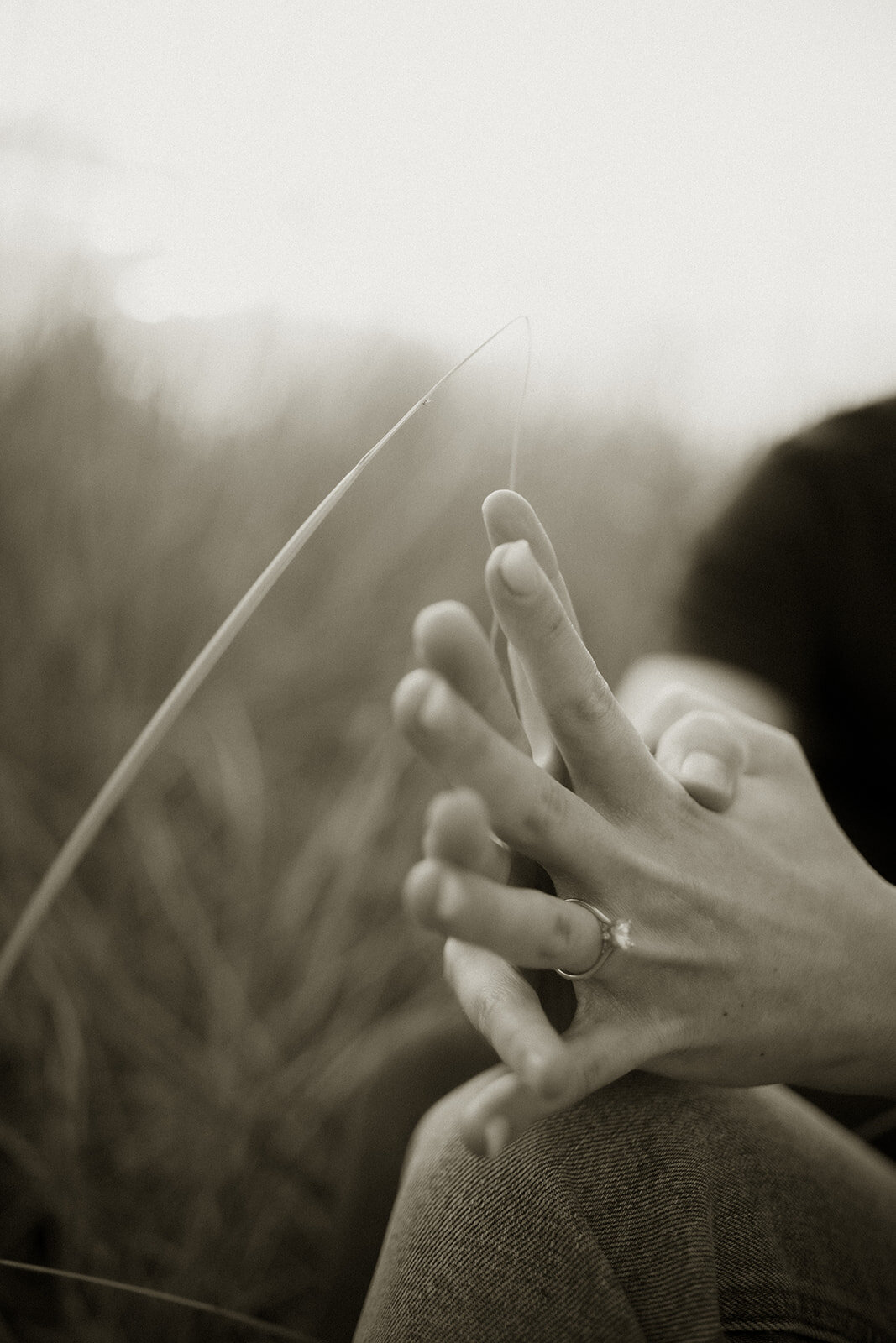 ZettelPhotography-6816