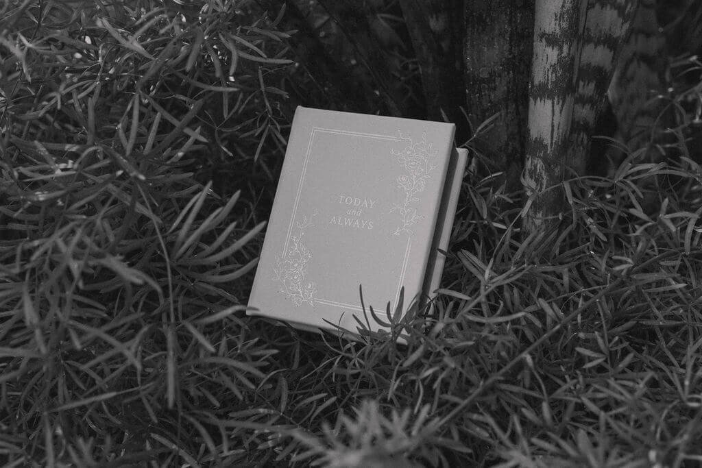 buffalo-wedding-photographer-brittany-and-nic.8