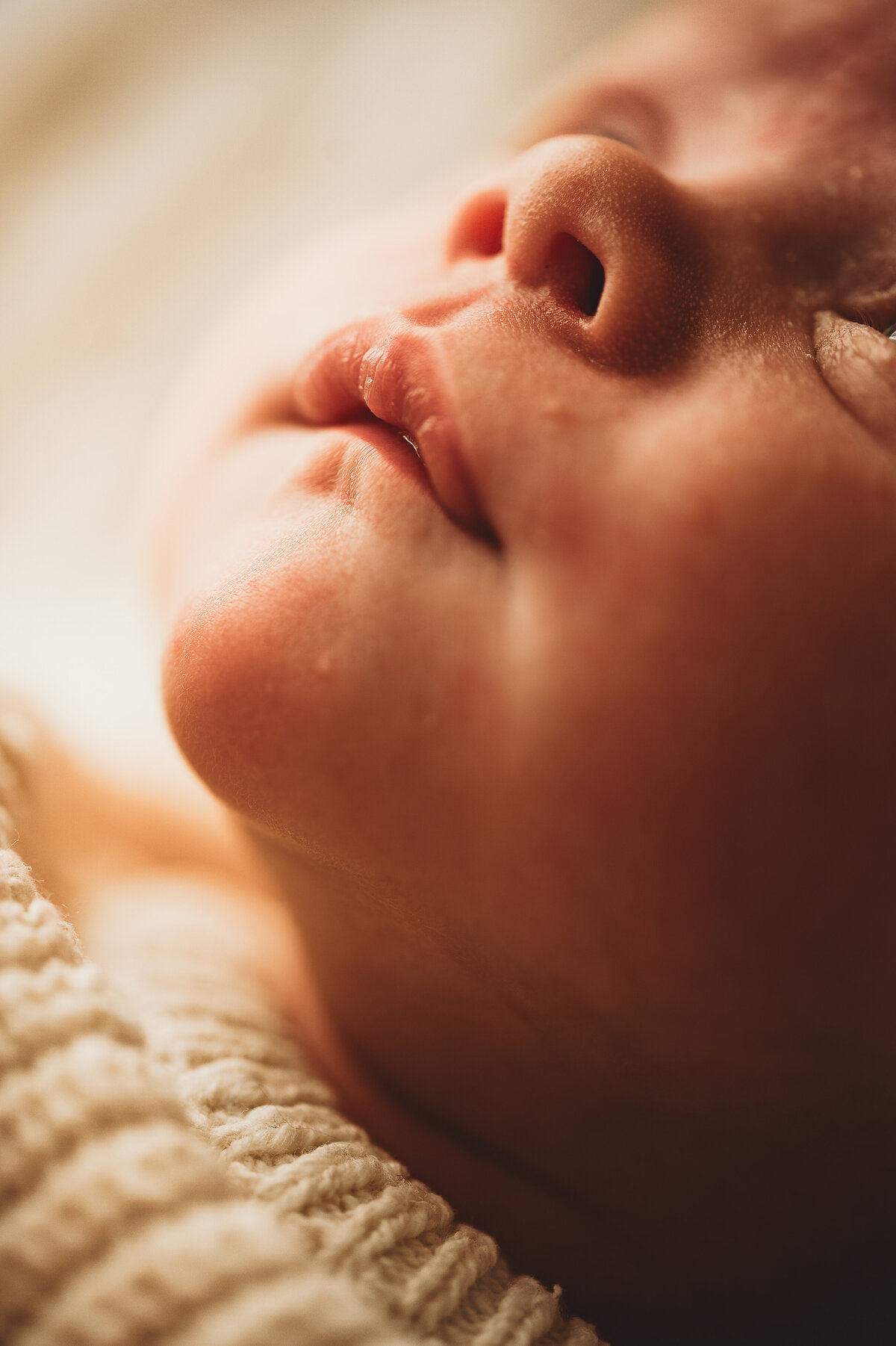 bismarck-studio-newborn-scherr-5297