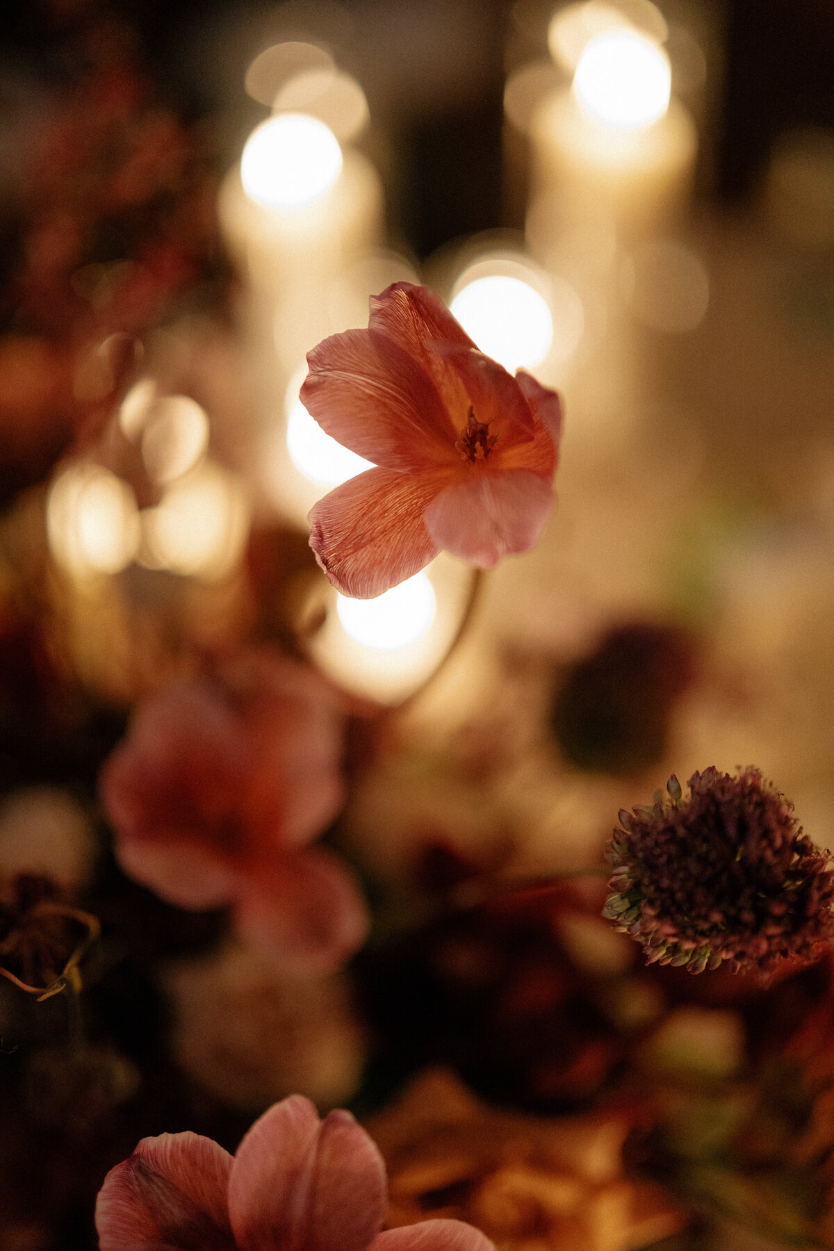 autumn-spencer-drover-wedding-jeff-brummett-photography-0871
