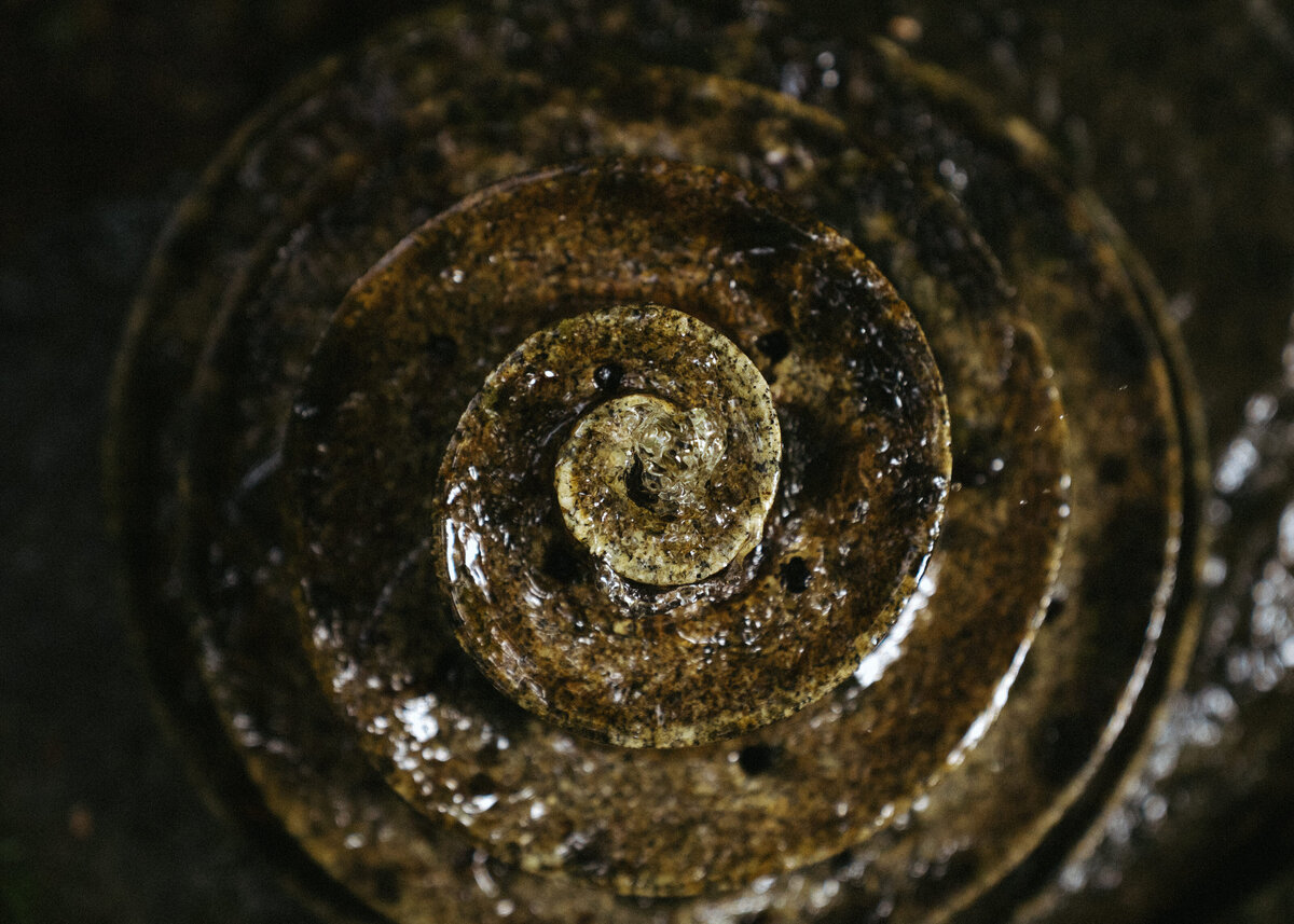 McCall-Idaho-Summer-Wedding-The-Forrester_s-2025-73