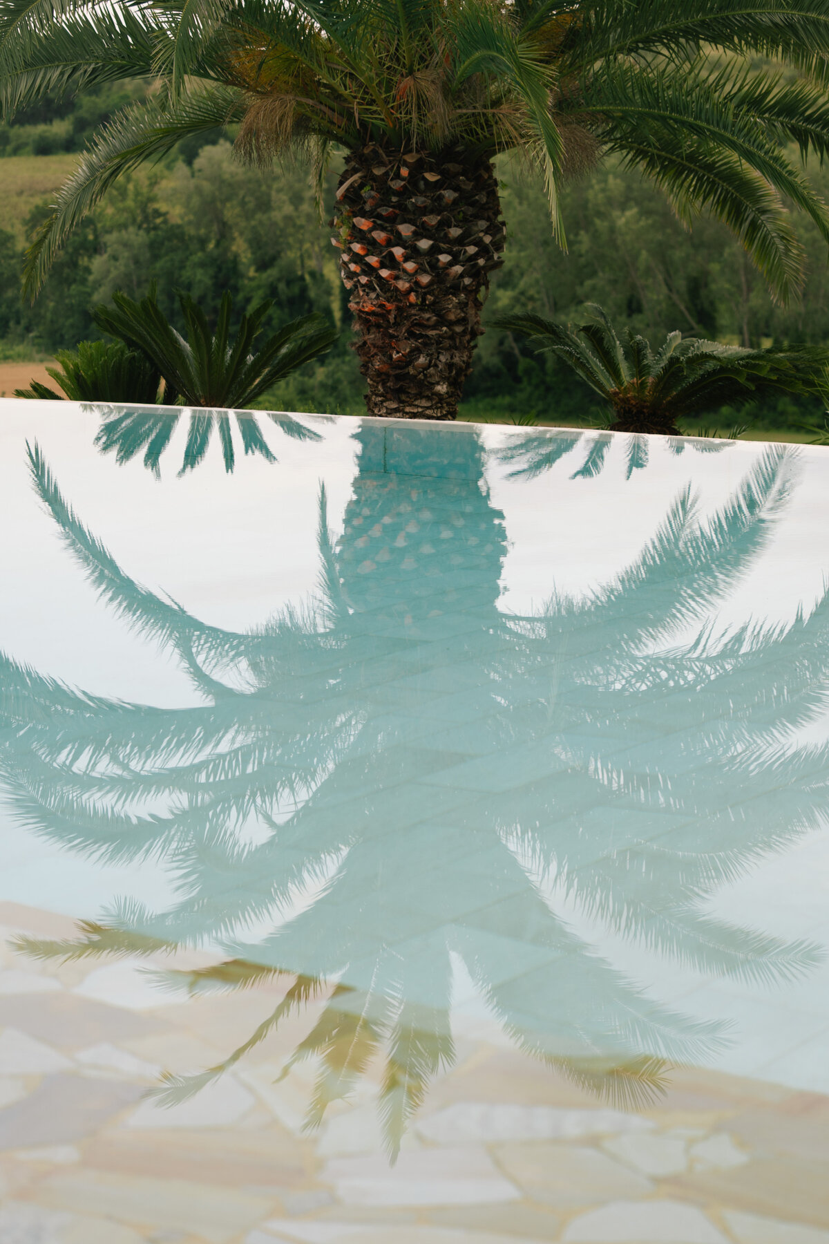 Nina and Nate Previews - Sky and Savvy Photo-76