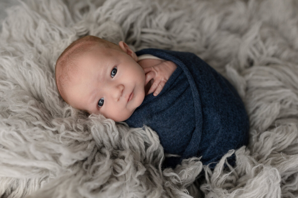 grey newborn photography 