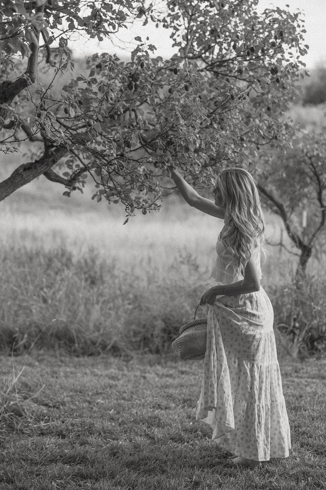 tanya-davids-photo-film-documentary-idaho-utah-oregon-washington-colorado-wedding-elopement-portrait-photographer-intention-session-apple-orchard-64