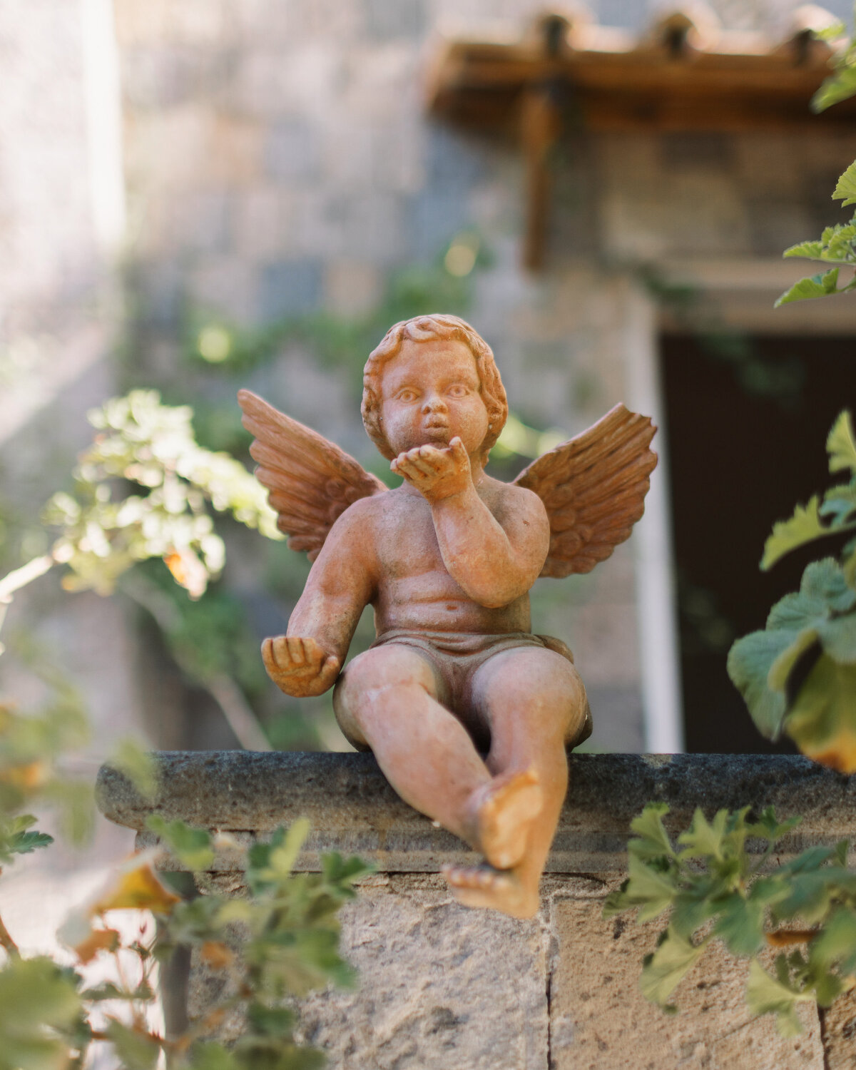 petal-glass-portfolio-144