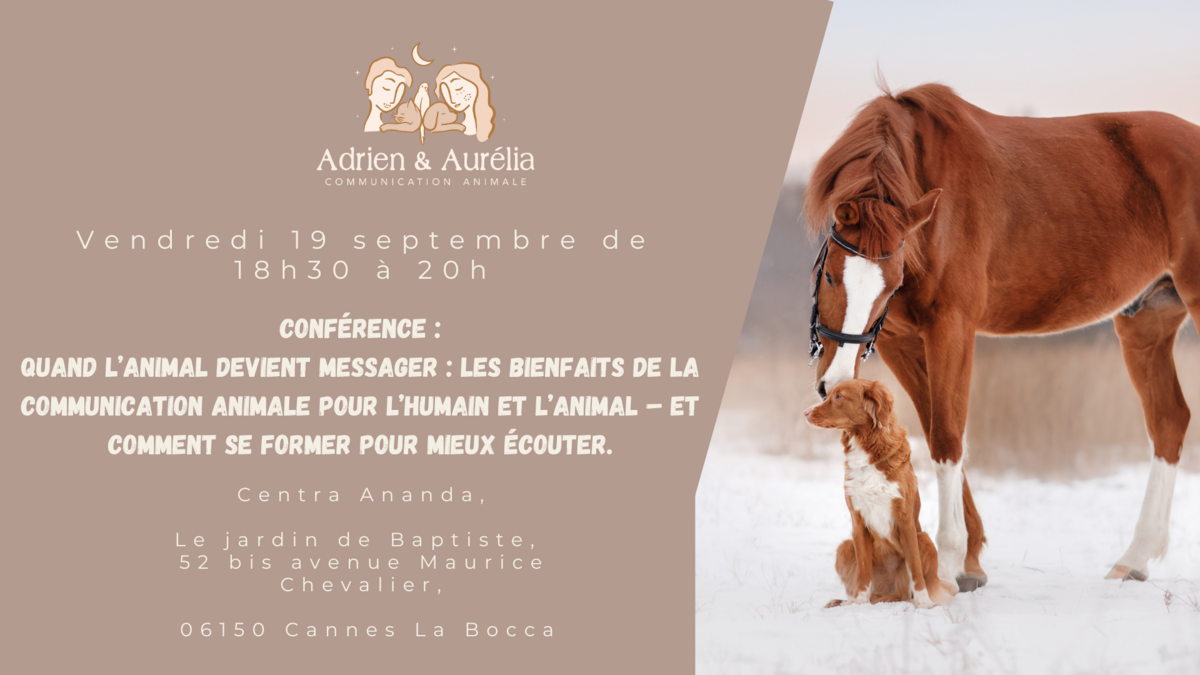 salon cavaillon