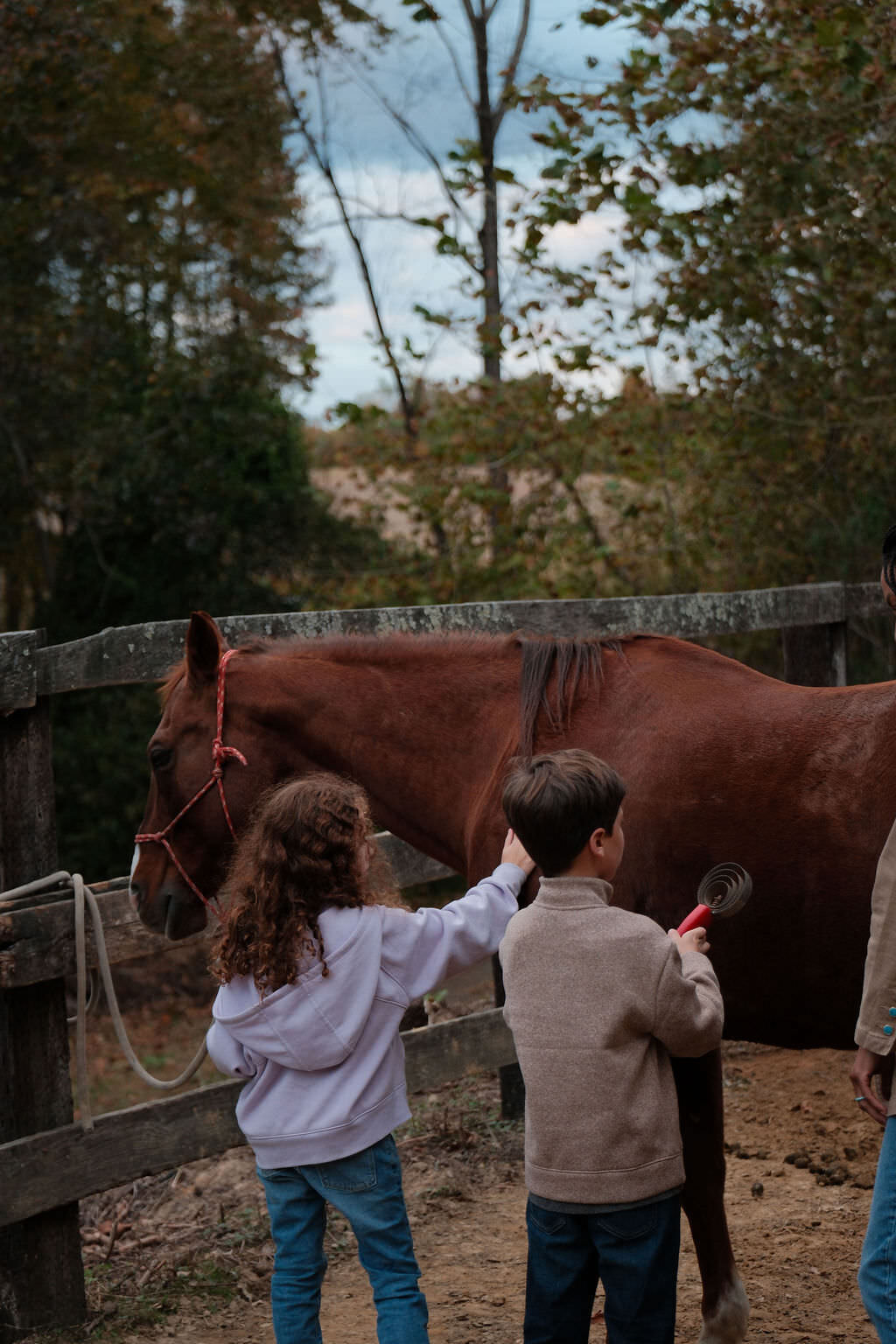 TheHoof_Selections_October_00269