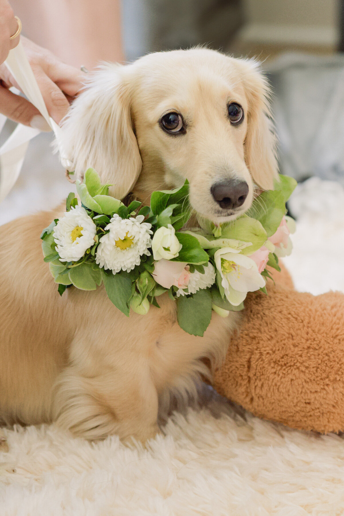 tented_wedding_ct_006