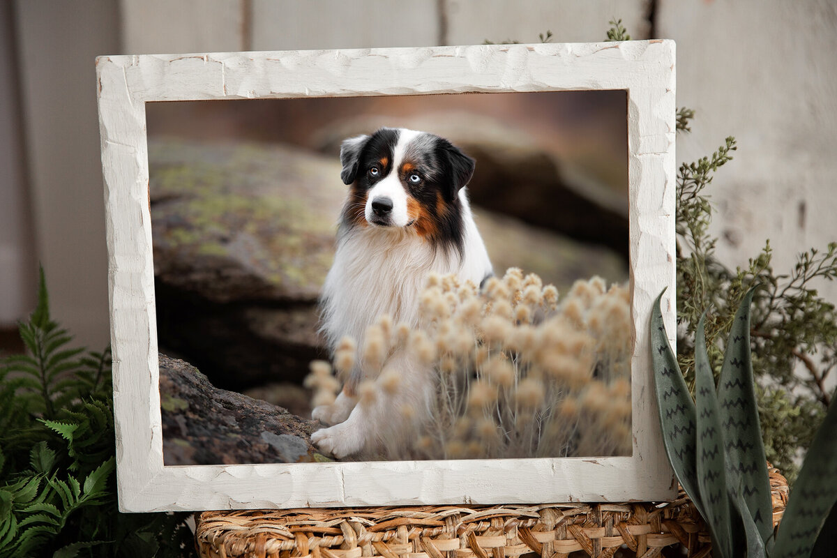 Hand Hewn (Standard Framing)