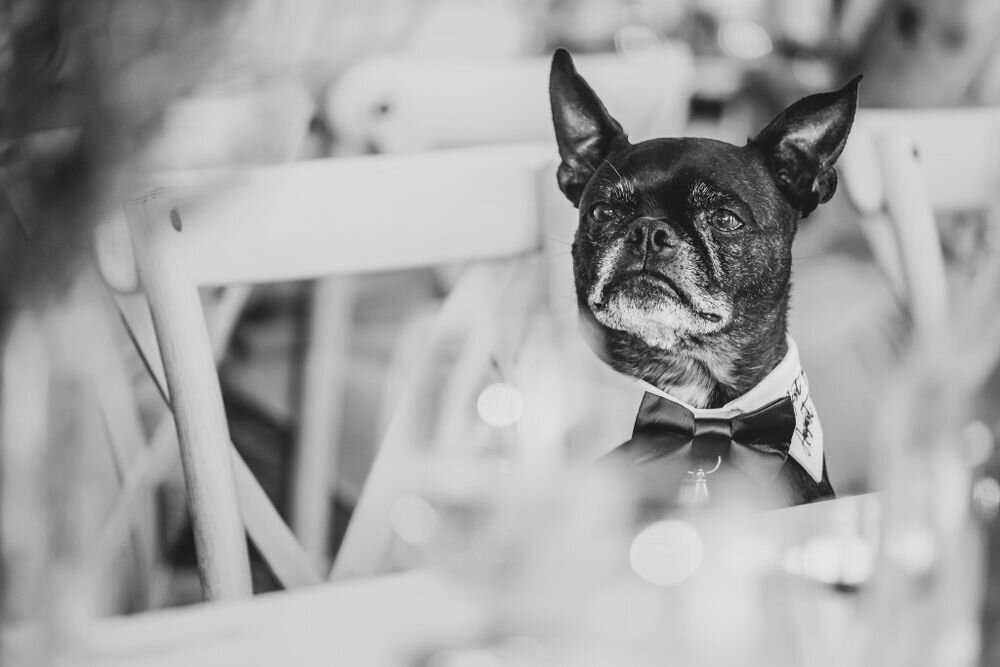 queer-nova-scotia-wedding-photographer-bull-point-estate-00100-e09c5285-1000