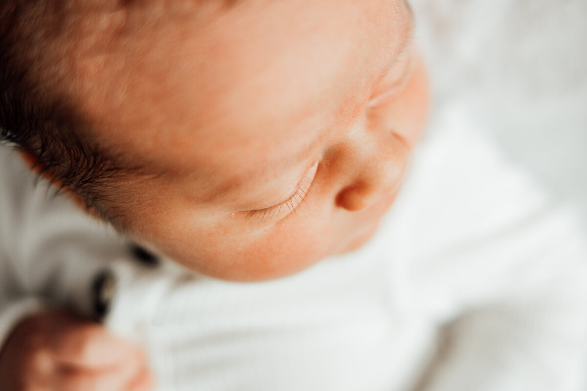 fresh 48 baby photography huntsville