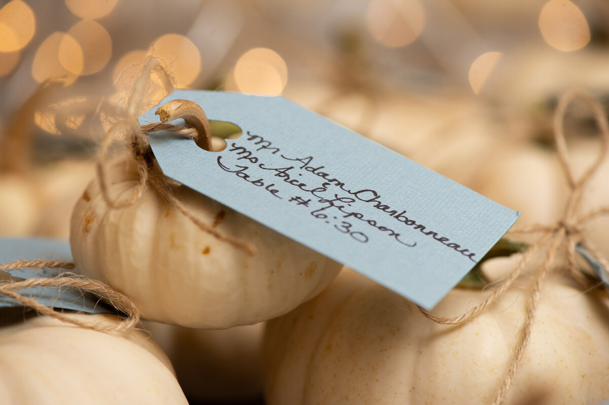 Boutique-Boston-Wedding-Photography-15