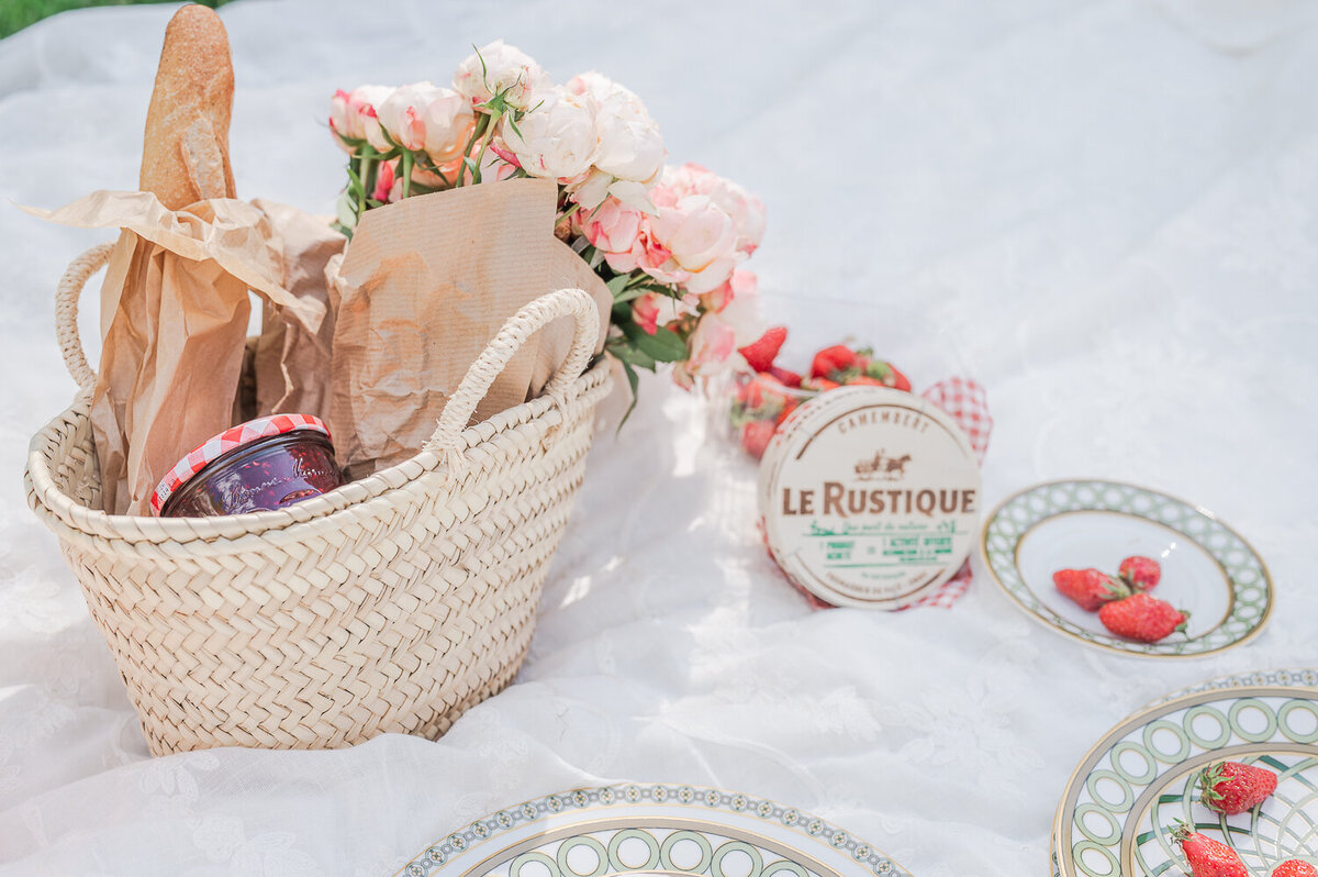 Engagement-shoot-picnic-in-France-1-32