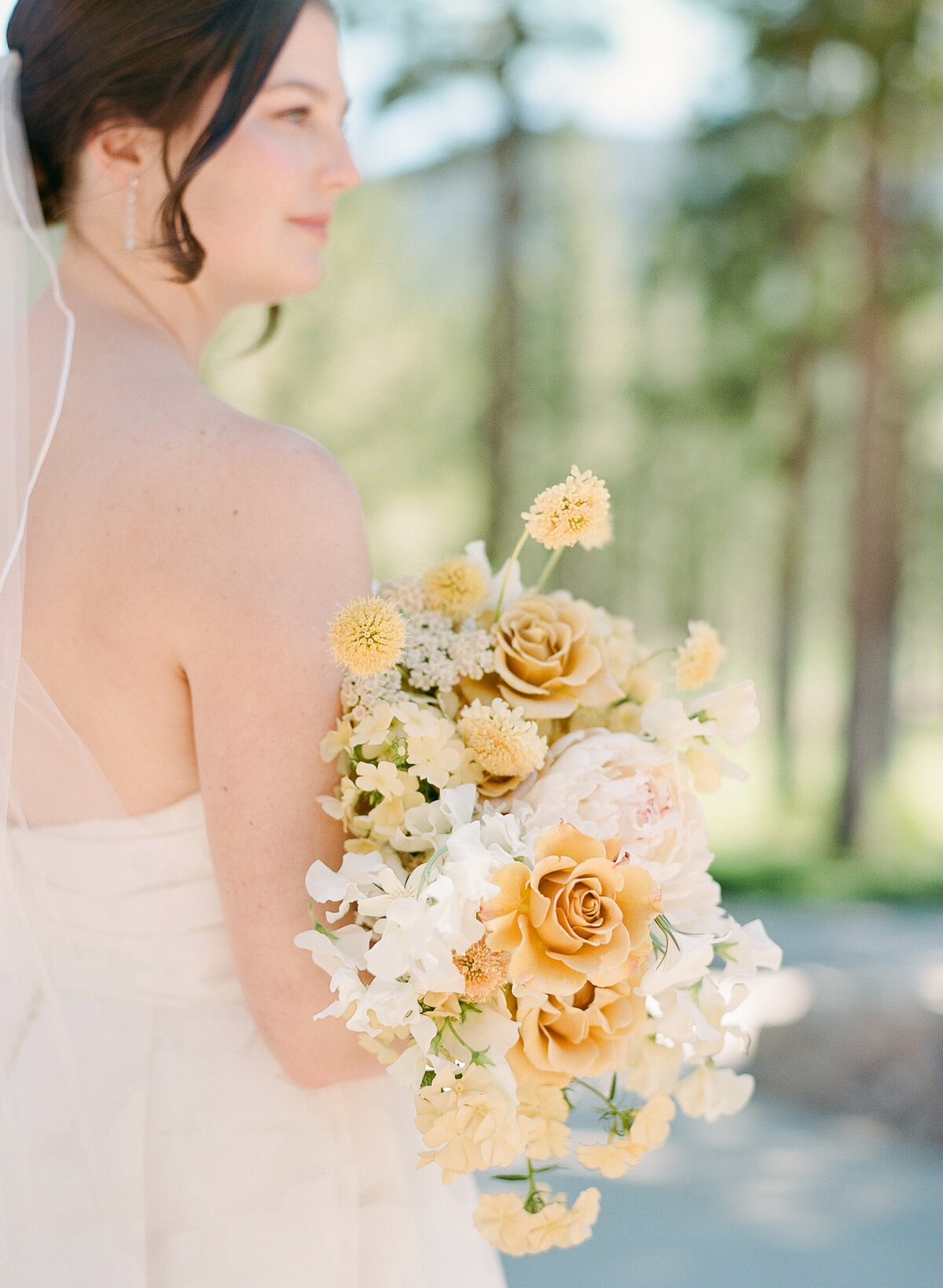 Martis Camp Wedding June 005