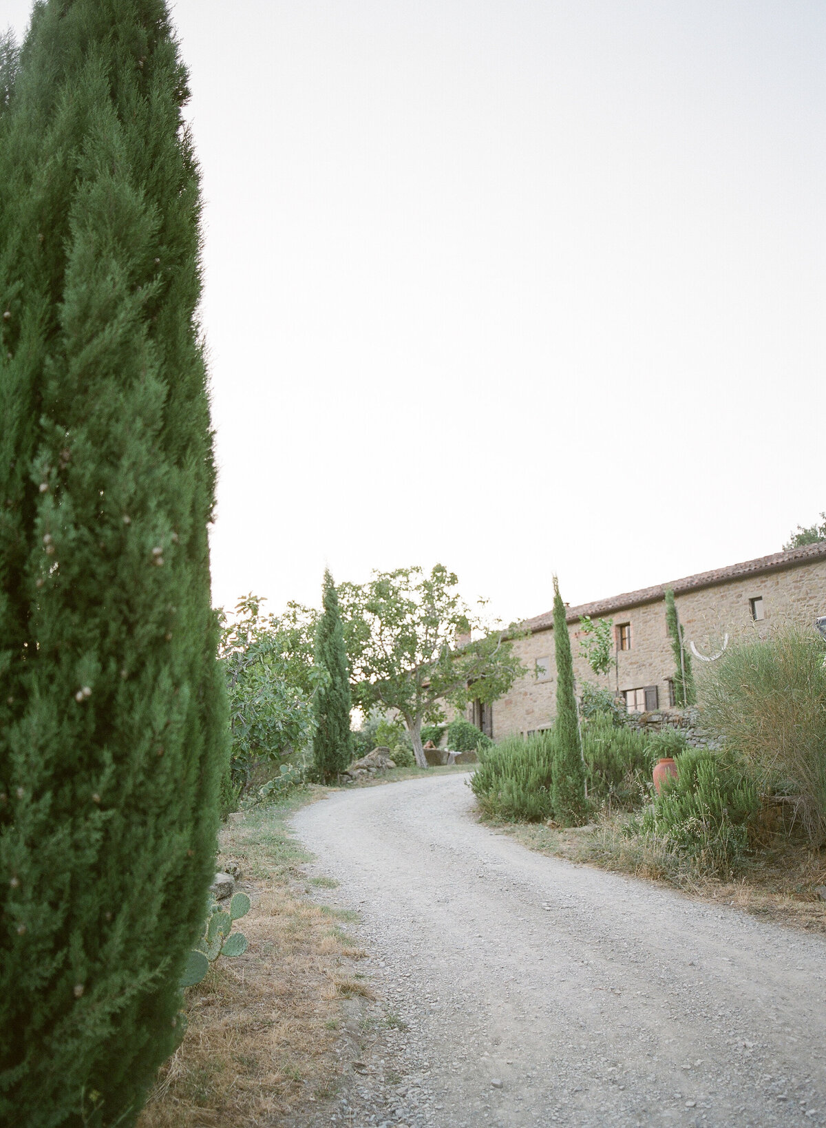 Les_Anagnou_tuscany_23072018_46