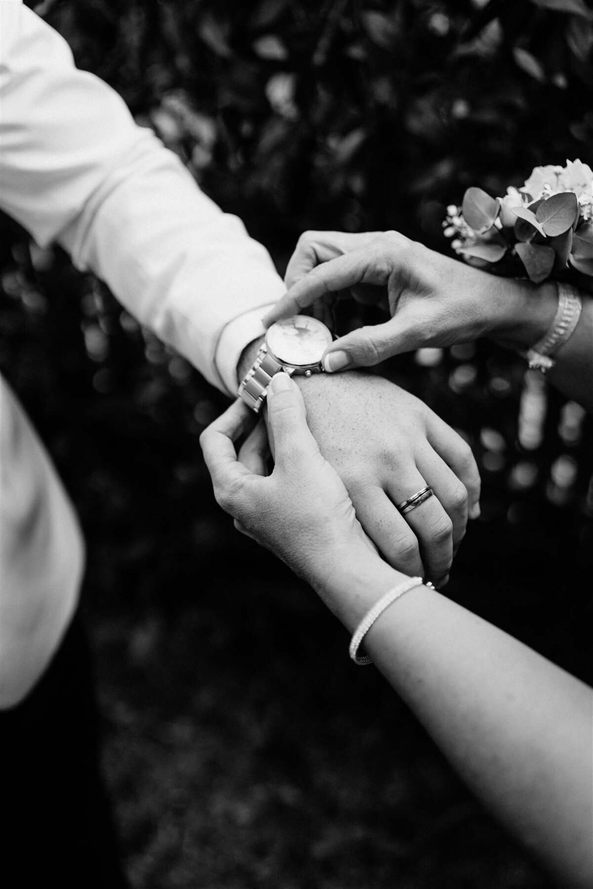 New South Wales Photographer (19)