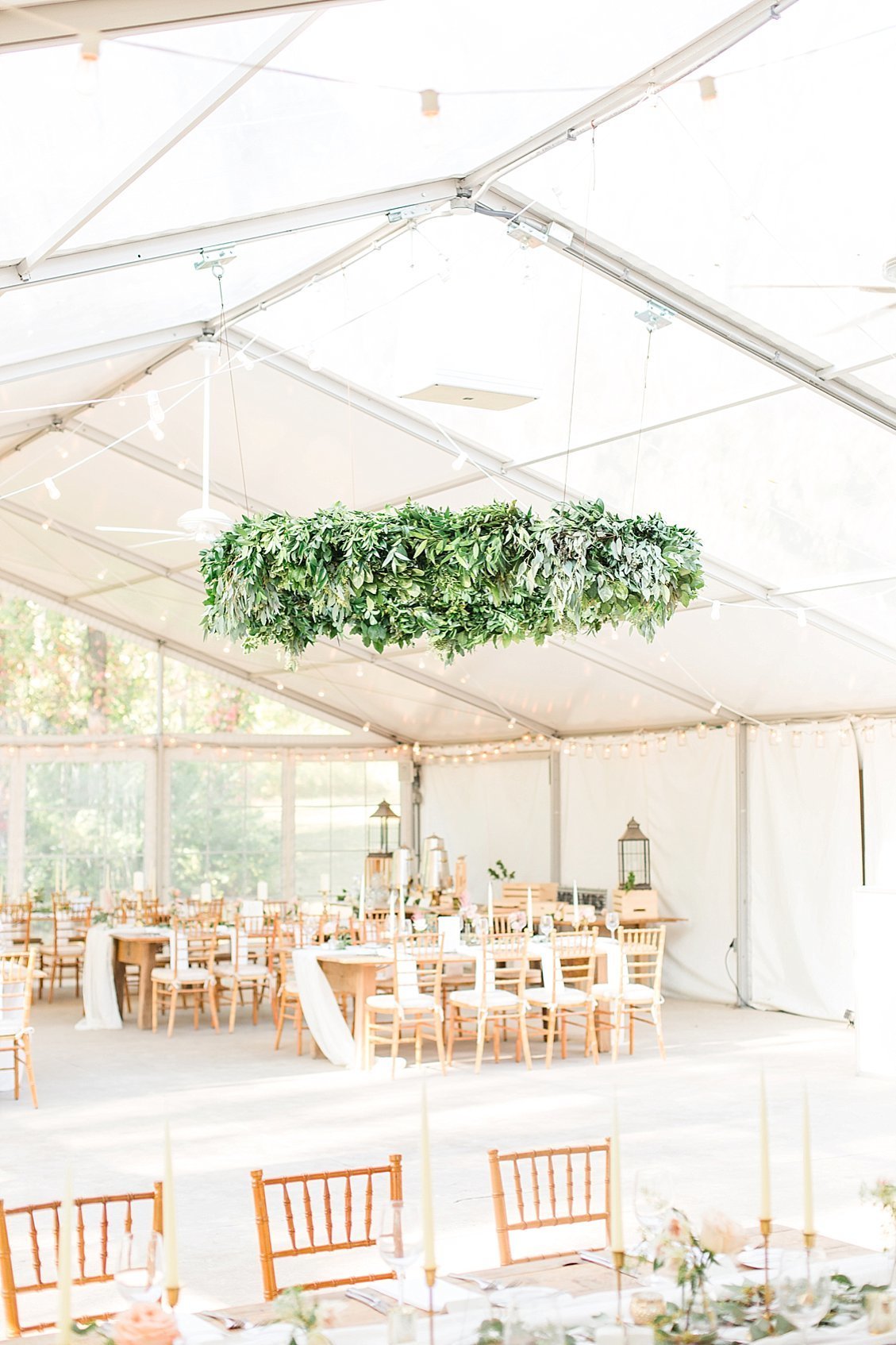 frank-2018-03-23_0131