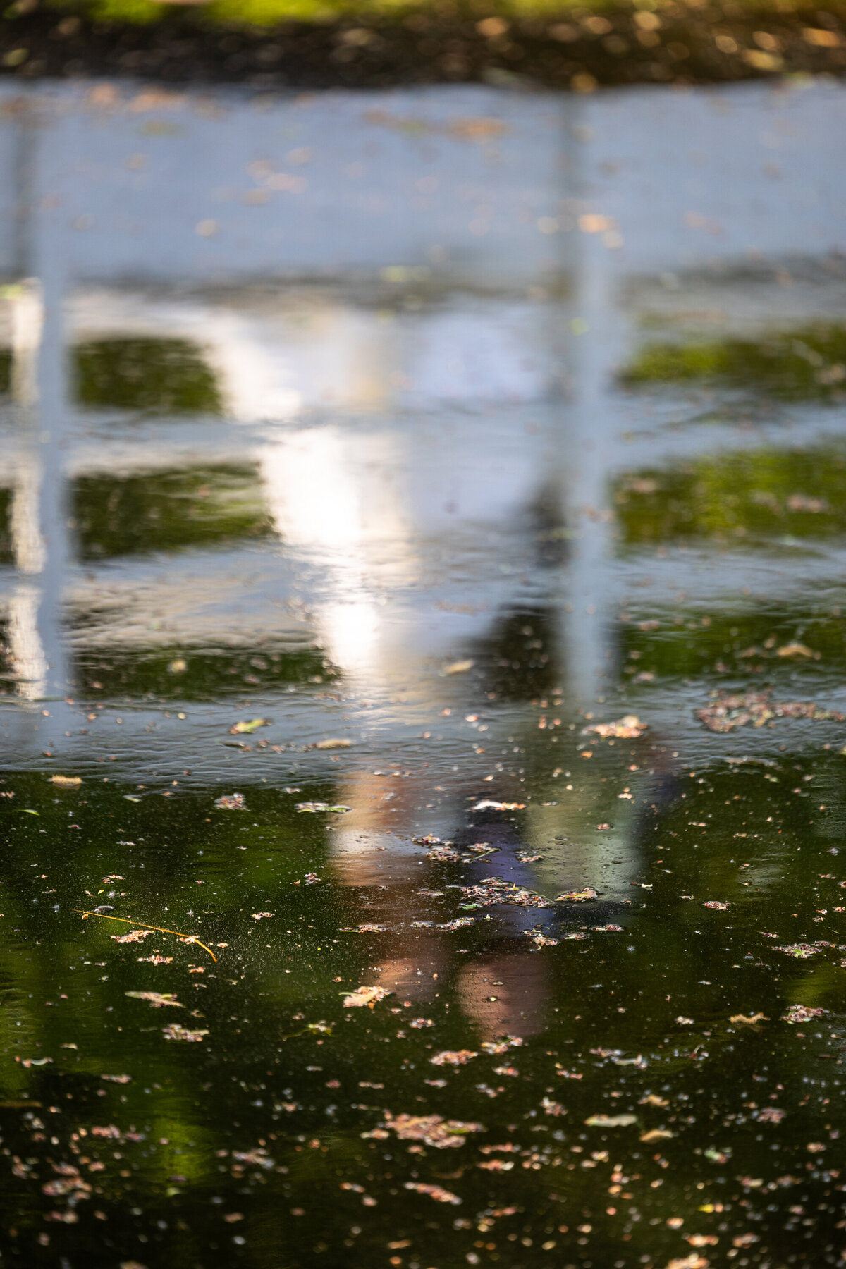 Reflet de couple de jeunes mariés dans l'eau avec pont La Distinction Joliette
