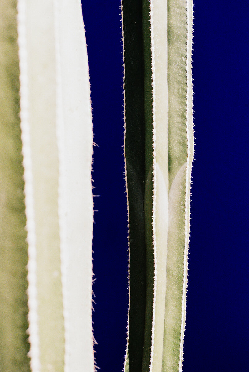 63411RLbre030514-R5-164