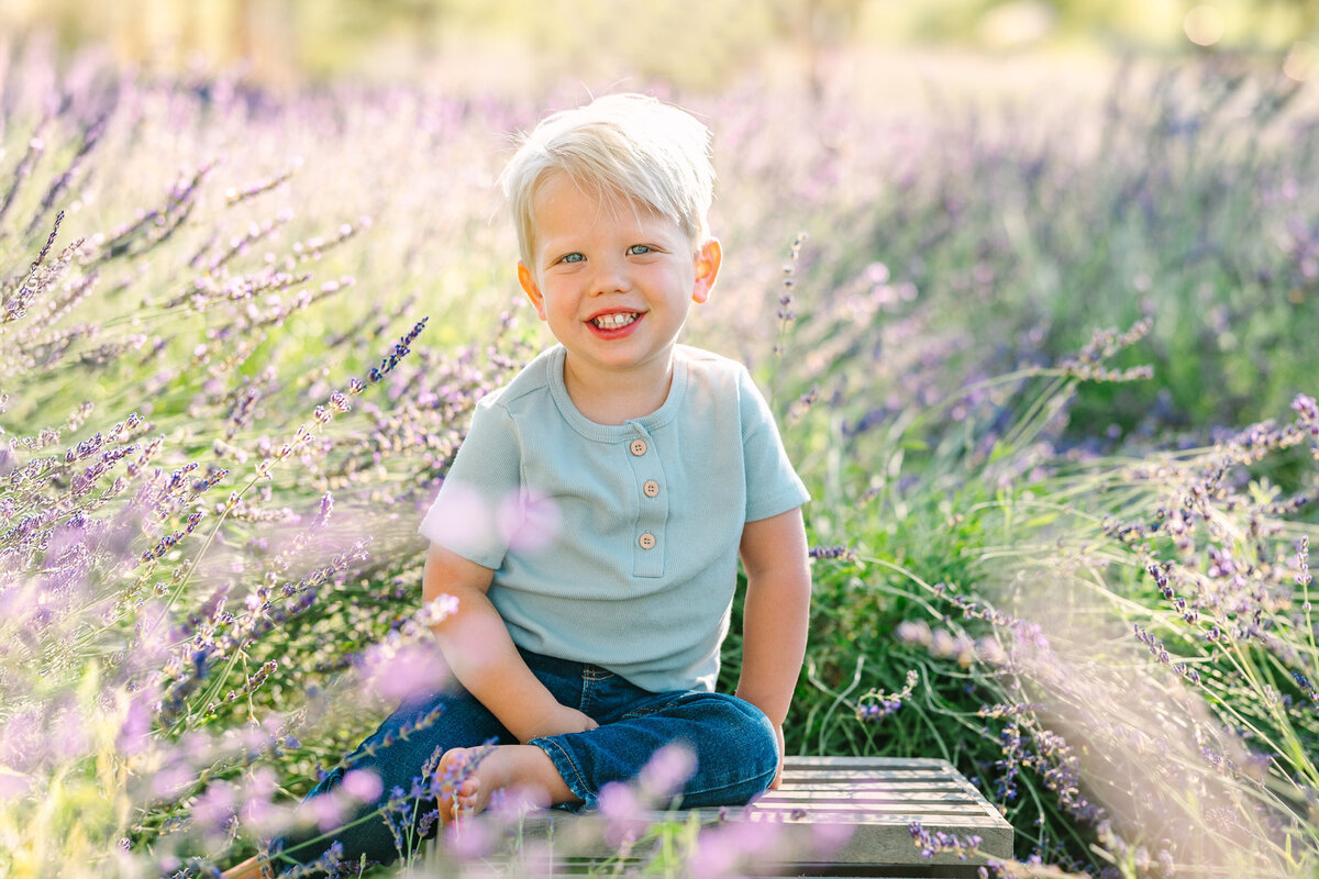 Lavender Minis 2025-2111