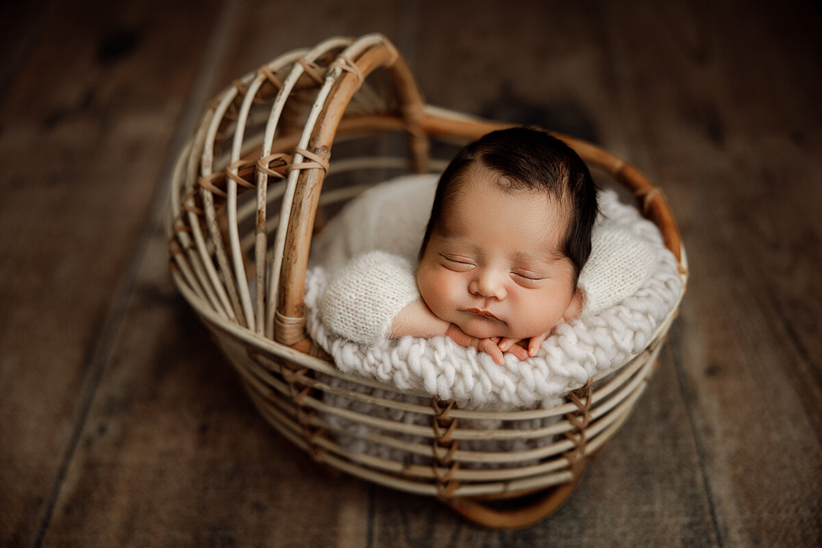 newborn photography north al
