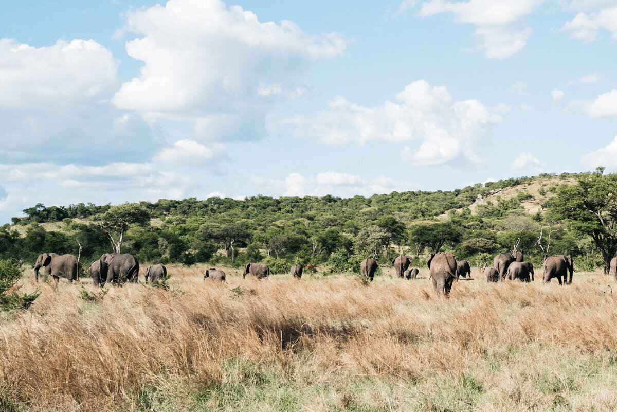 leila-brewster-photography-tanzania-0404